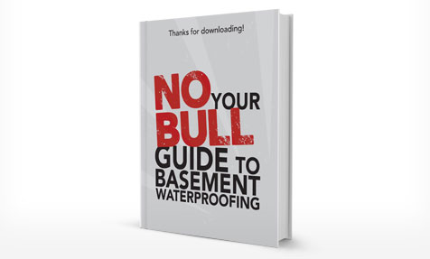 Basement Waterproofing E-Book